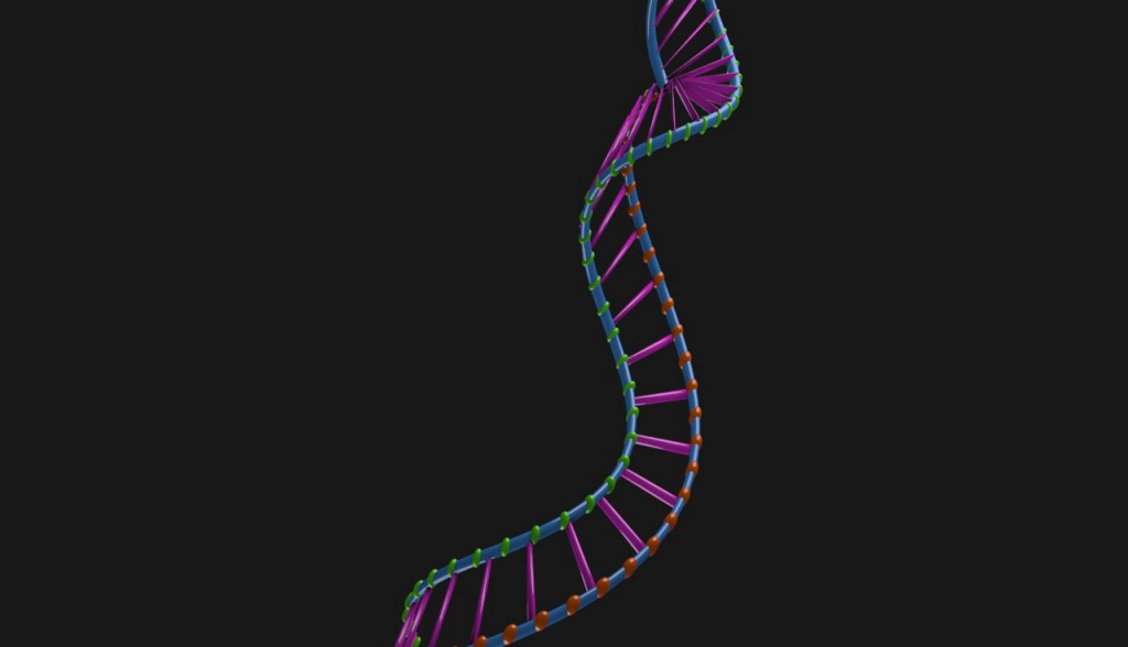 DNA preview image 2